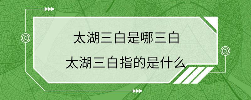 太湖三白是哪三白 太湖三白指的是什么