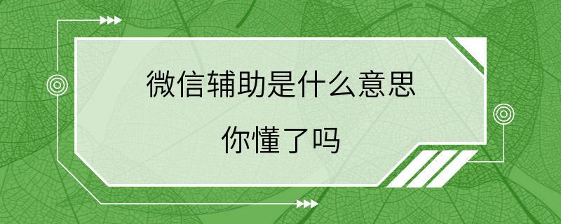 微信辅助是什么意思 你懂了吗