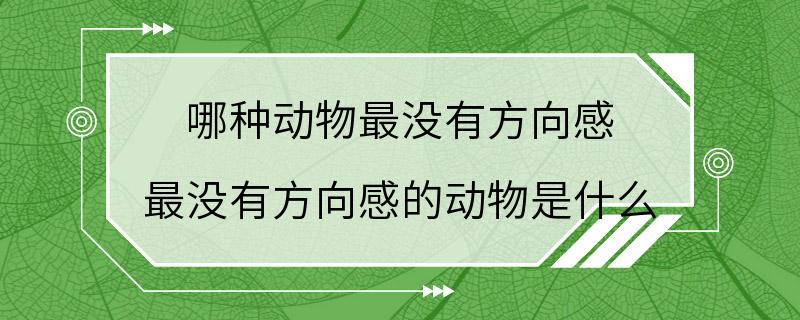 哪种动物最没有方向感 最没有方向感的动物是什么