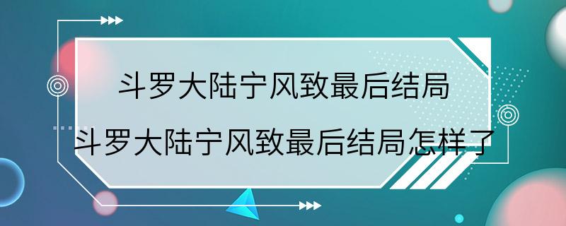 斗罗大陆宁风致最后结局 斗罗大陆宁风致最后结局怎样了