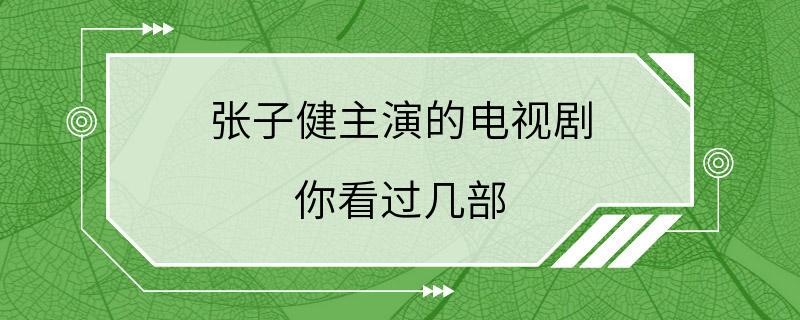 张子健主演的电视剧 你看过几部