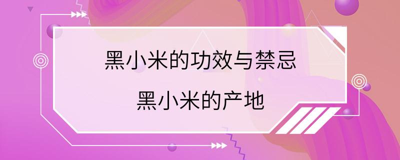 黑小米的功效与禁忌 黑小米的产地