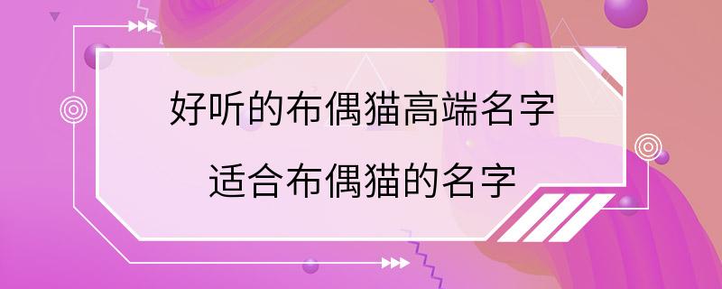 好听的布偶猫高端名字 适合布偶猫的名字