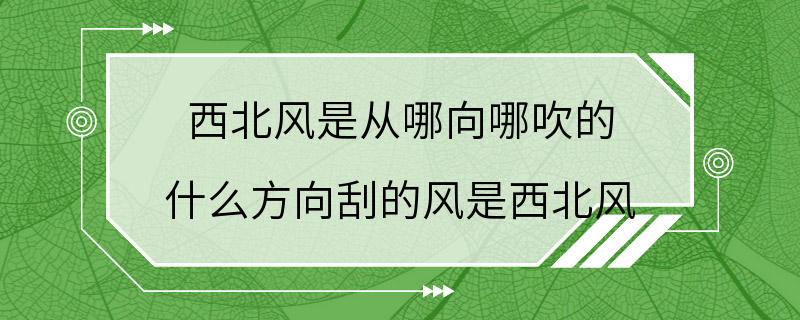 西北风是从哪向哪吹的 什么方向刮的风是西北风