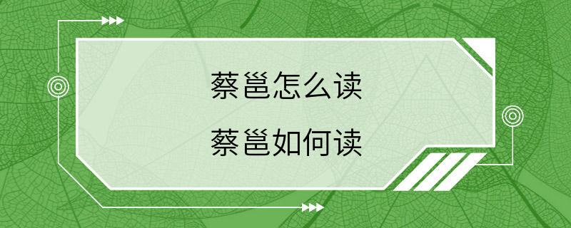 蔡邕怎么读 蔡邕如何读