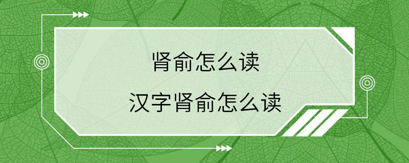 肾俞怎么读 汉字肾俞怎么读