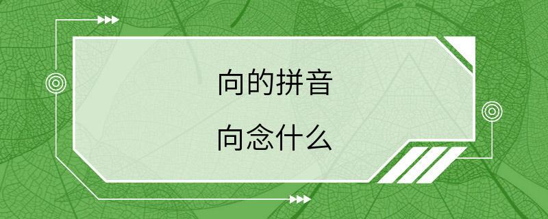 向的拼音 向念什么