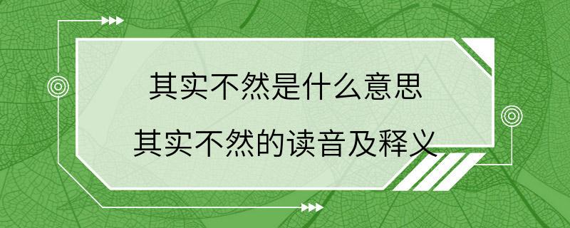 其实不然是什么意思 其实不然的读音及释义