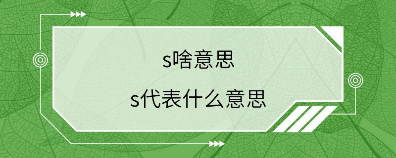 s啥意思 s代表什么意思