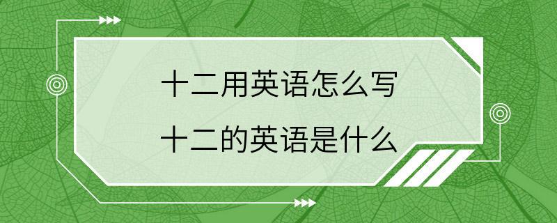 十二用英语怎么写 十二的英语是什么