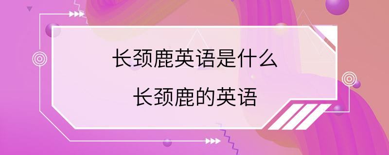 长颈鹿英语是什么 长颈鹿的英语