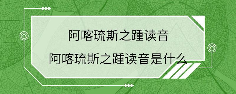 阿喀琉斯之踵读音 阿喀琉斯之踵读音是什么