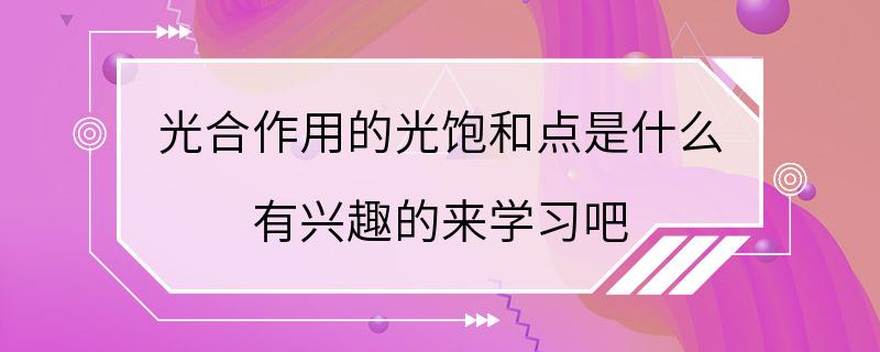 光合作用的光饱和点是什么 有兴趣的来学习吧