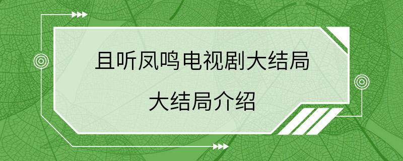 且听凤鸣电视剧大结局 大结局介绍