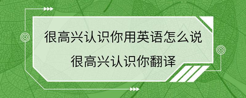 很高兴认识你用英语怎么说 很高兴认识你翻译