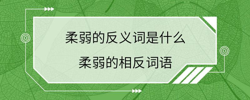 柔弱的反义词是什么 柔弱的相反词语