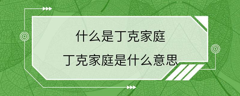 什么是丁克家庭 丁克家庭是什么意思