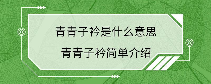 青青子衿是什么意思 青青子衿简单介绍