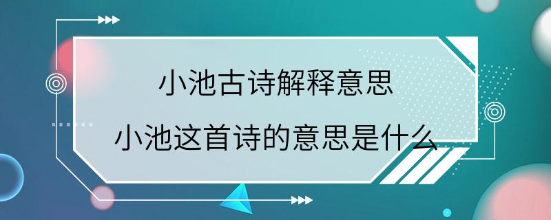 小池古诗解释意思 小池这首诗的意思是什么