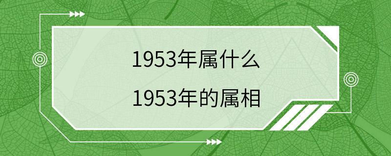 1953年属什么 1953年的属相