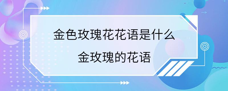 金色玫瑰花花语是什么 金玫瑰的花语