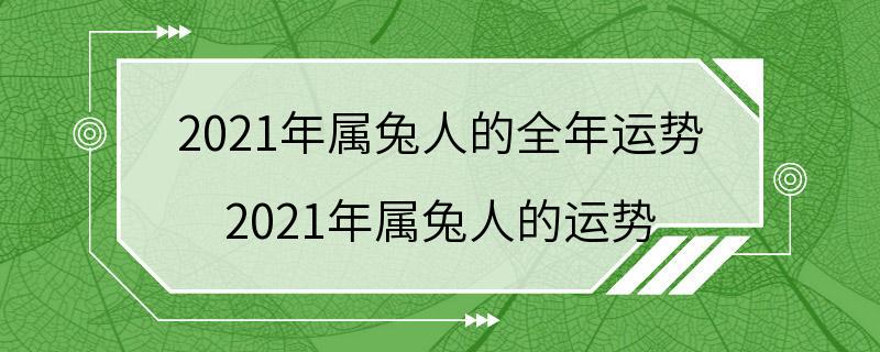 2021年属兔人的全年运势 2021年属兔人的运势