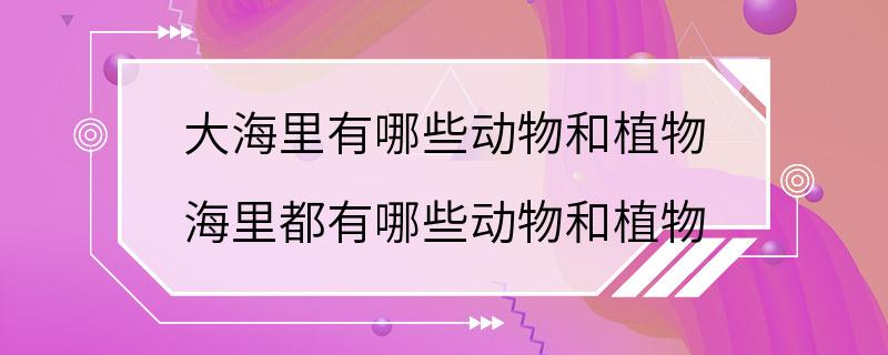 大海里有哪些动物和植物 海里都有哪些动物和植物