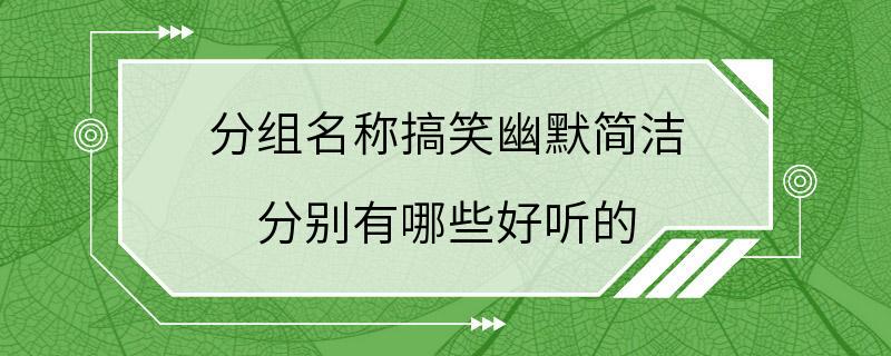 分组名称搞笑幽默简洁 分别有哪些好听的