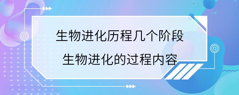 生物进化历程几个阶段 生物进化的过程内容