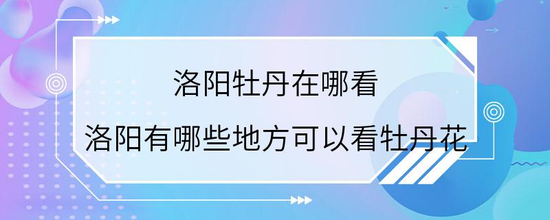 洛阳牡丹在哪看 洛阳有哪些地方可以看牡丹花