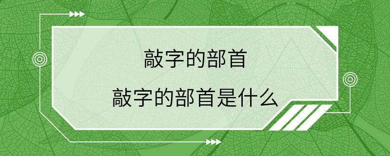 敲字的部首 敲字的部首是什么