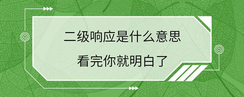 二级响应是什么意思 看完你就明白了