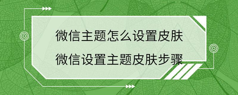 微信主题怎么设置皮肤 微信设置主题皮肤步骤