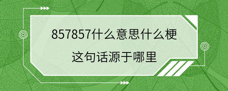 857857什么意思什么梗 这句话源于哪里