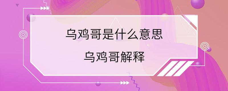 乌鸡哥是什么意思 乌鸡哥解释