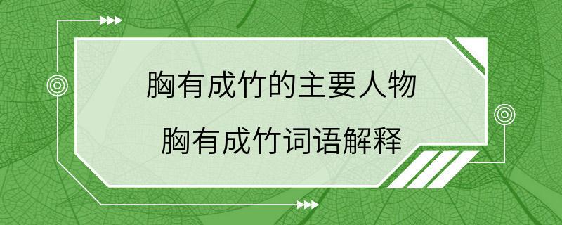 胸有成竹的主要人物 胸有成竹词语解释