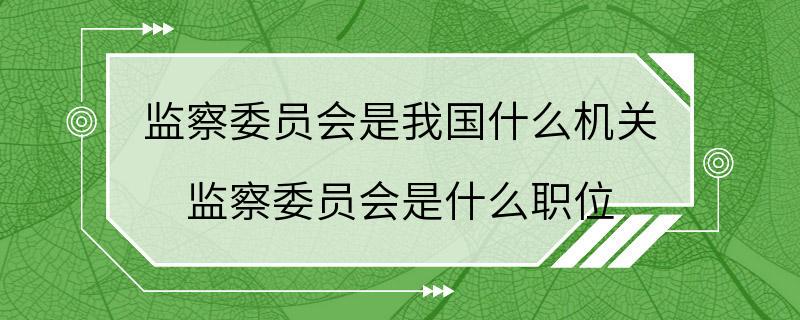 监察委员会是我国什么机关 监察委员会是什么职位