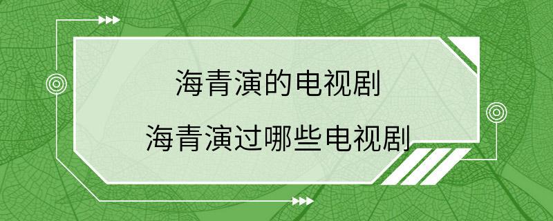 海青演的电视剧 海青演过哪些电视剧