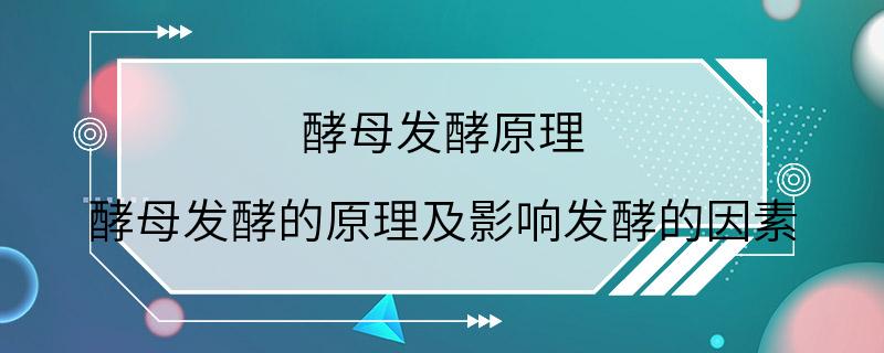 酵母发酵原理 酵母发酵的原理及影响发酵的因素