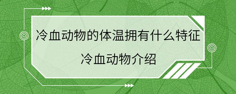 冷血动物的体温拥有什么特征 冷血动物介绍