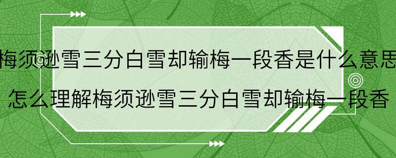 梅须逊雪三分白雪却输梅一段香是什么意思 怎么理解梅须逊雪三分白雪却输梅一段香