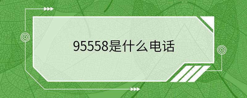 95558是什么电话