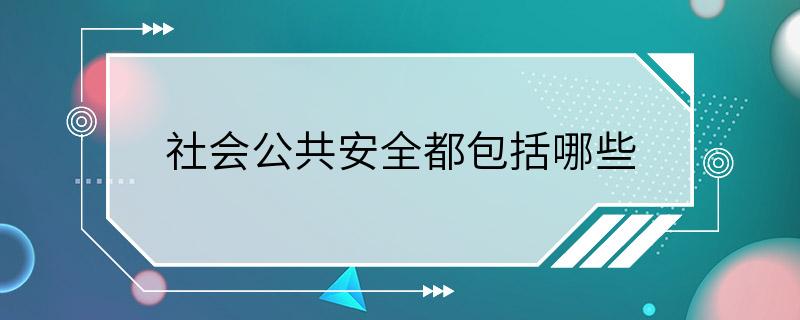 社会公共安全都包括哪些