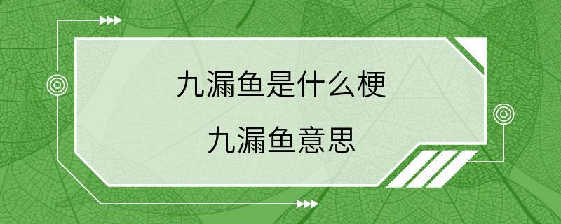 九漏鱼是什么梗 九漏鱼意思