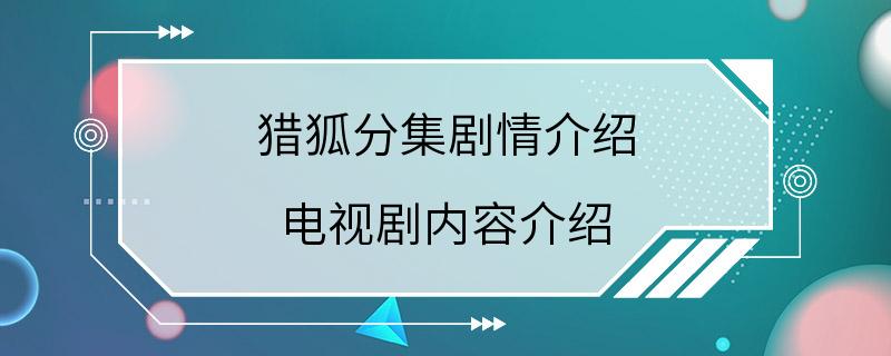 猎狐分集剧情介绍 电视剧内容介绍