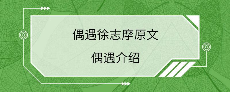 偶遇徐志摩原文 偶遇介绍