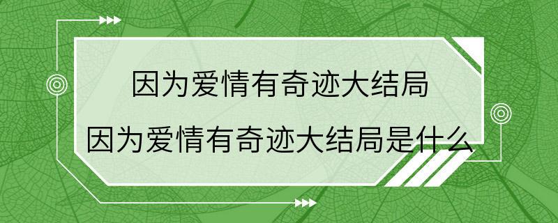 因为爱情有奇迹大结局 因为爱情有奇迹大结局是什么