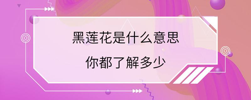 黑莲花是什么意思 你都了解多少