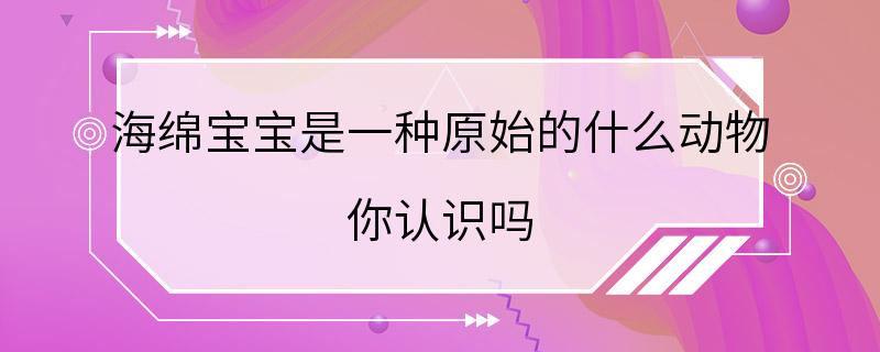 海绵宝宝是一种原始的什么动物 你认识吗