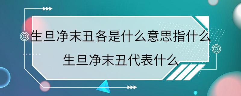 生旦净末丑各是什么意思指什么 生旦净末丑代表什么